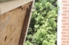 1651Strbrd_Edge_Wood.jpg