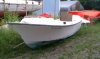 IMAG0294.jpg