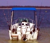 371P1010035_edited.JPG