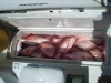 330Picture_007.jpg