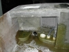 54DSCN0650.JPG